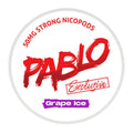 Pablo Nicotine Pouches - 20 Pouches - 50mg - Grape Ice | Lincolnshire Vapours